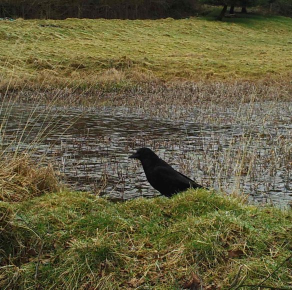 M2E90L199-199R417B297