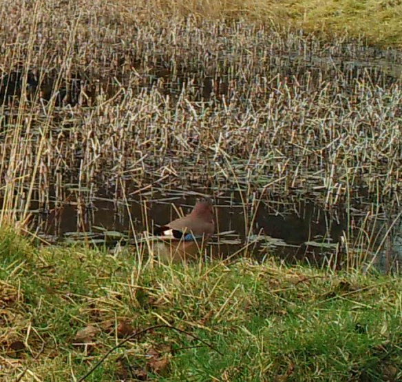 M2E106L218-218R422B305