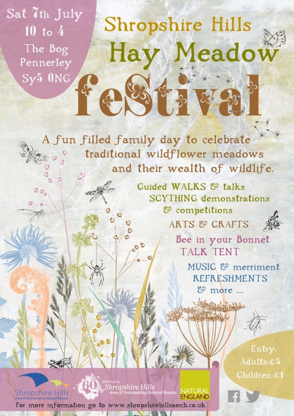 aonb hay meadow festival_POSTER_FINAL-email