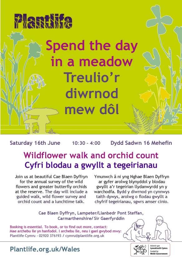 Wild Flower Count 18 Poster
