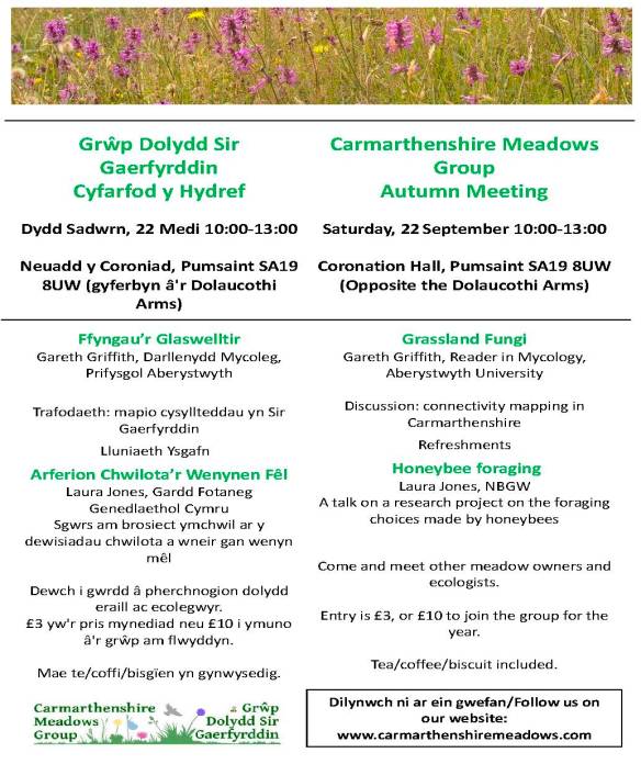 Autumn meeting poster