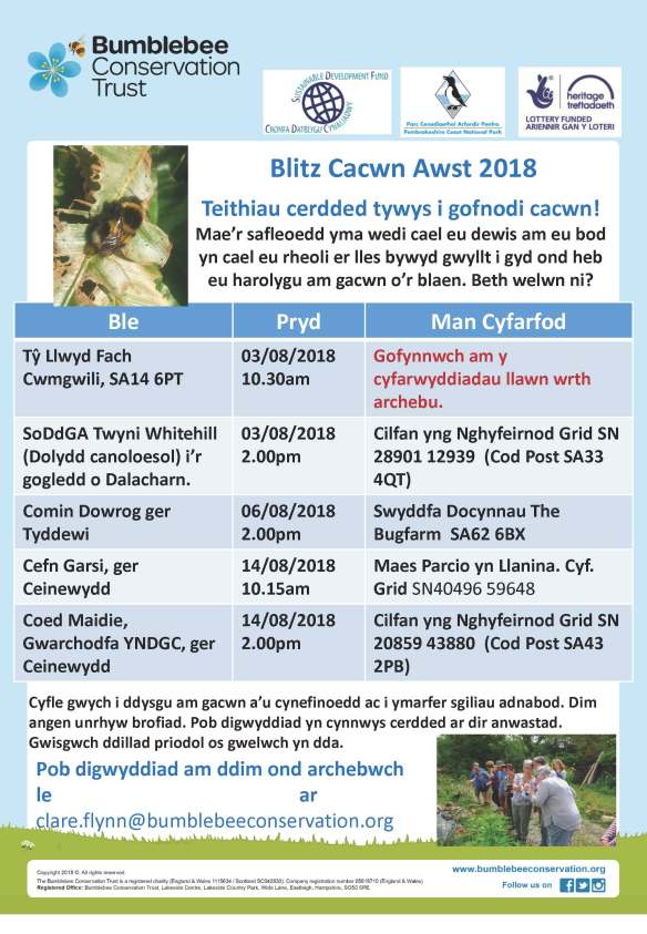 Bee Surveys August2018Welsh (1)