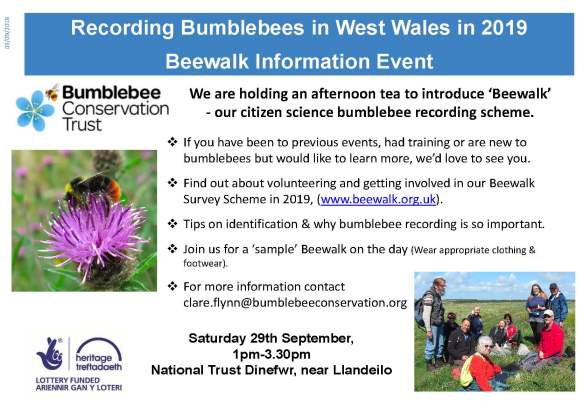 Beewalk event Poster Dinefwr