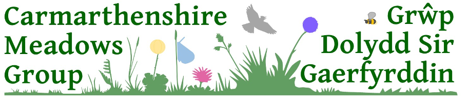Carmarthenshire Meadows Group  –  Grŵp Dolydd Sir Gaerfyrddin